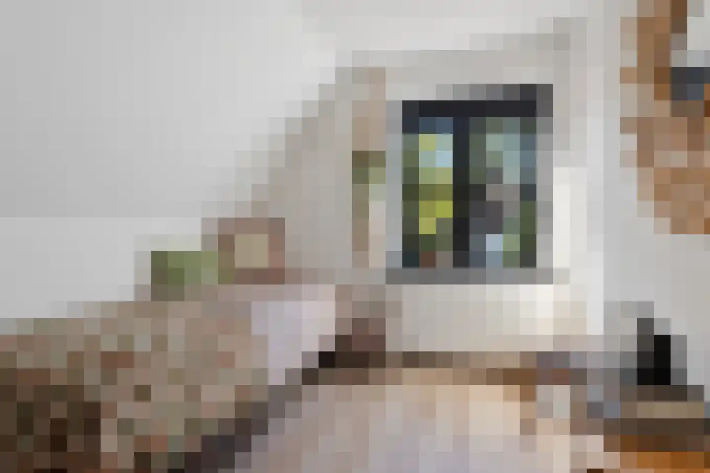 Molenweg 3 Heiloo thumbnail 41