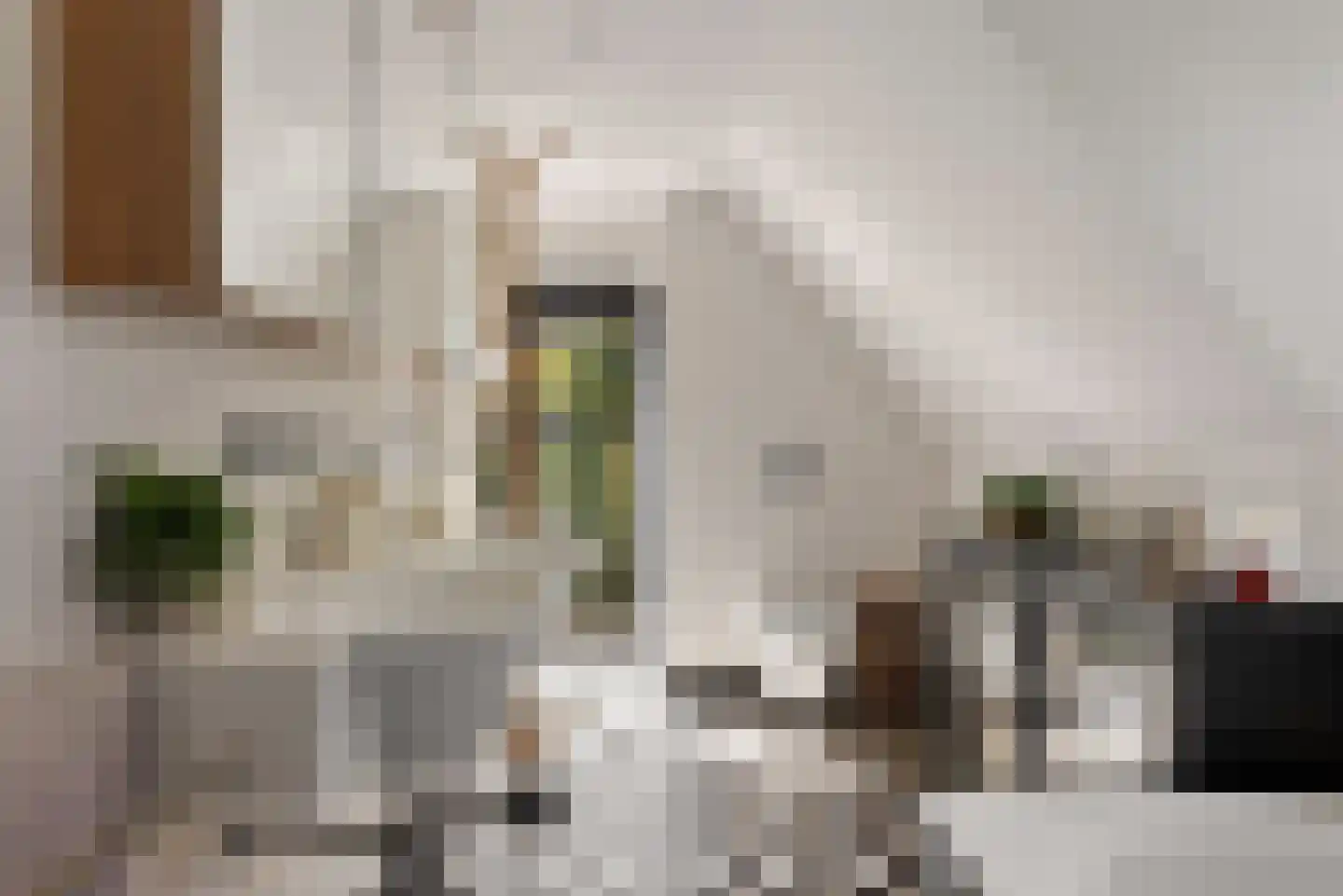 Molenweg 3 Heiloo thumbnail 42