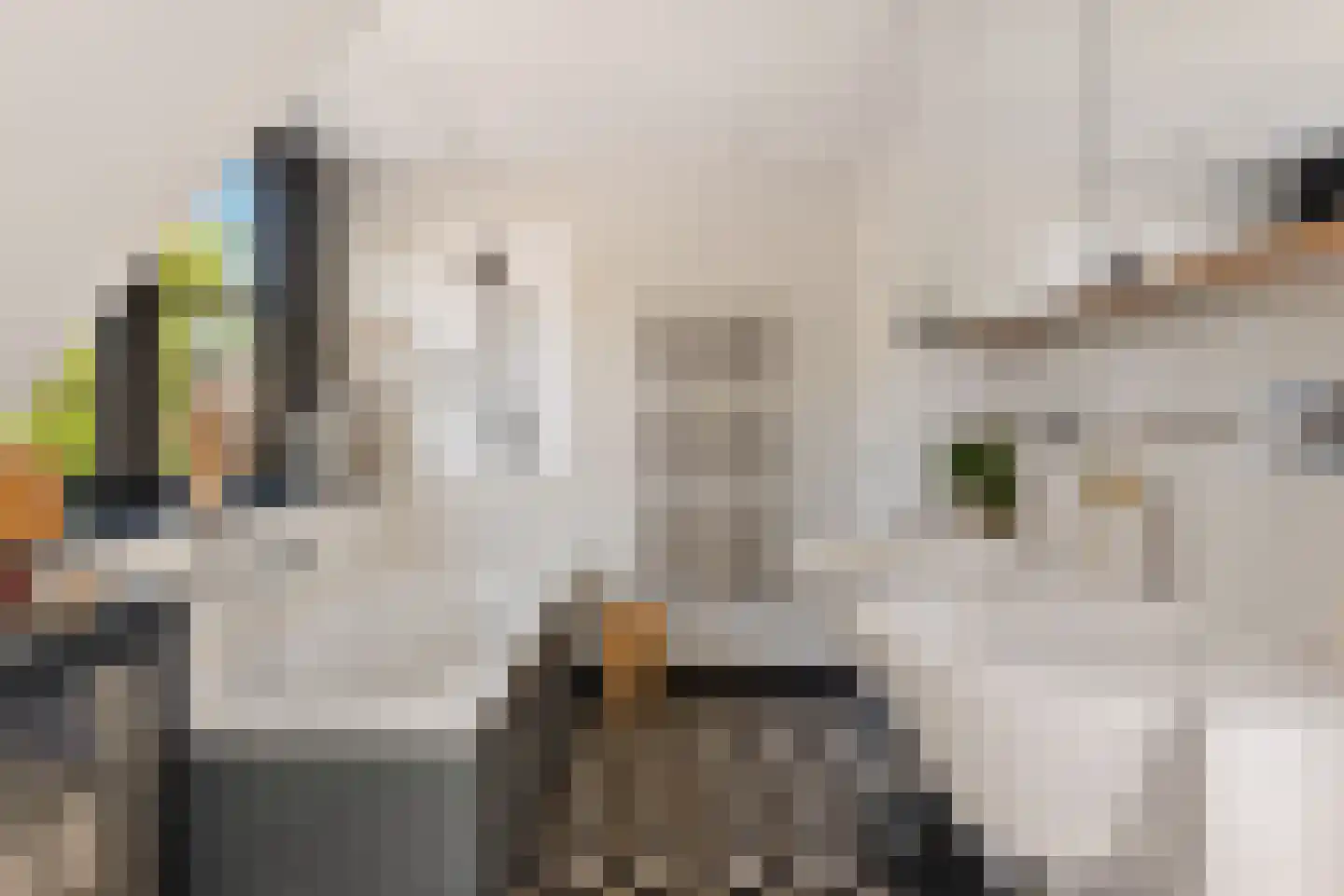 Molenweg 3 Heiloo thumbnail 43
