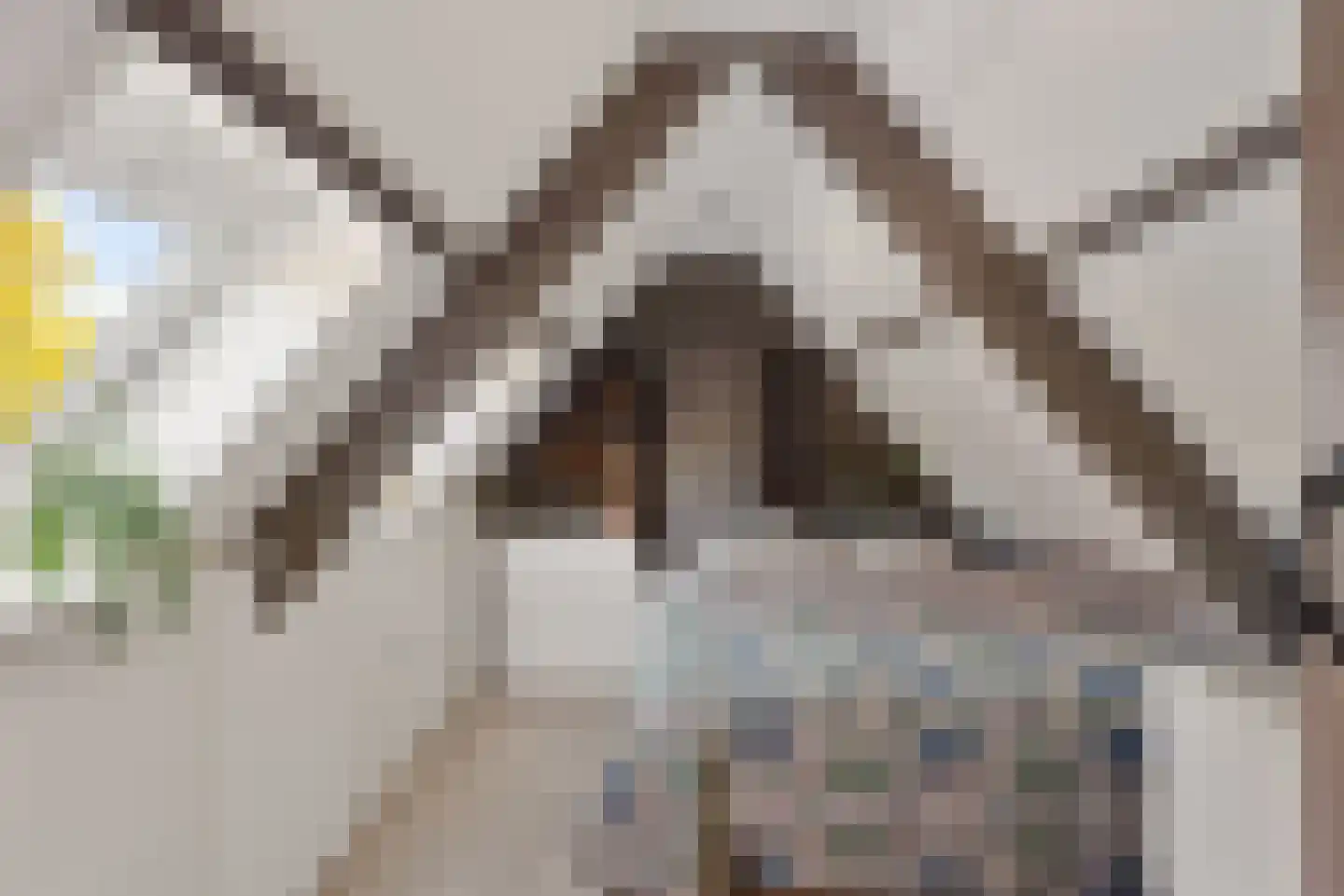 Molenweg 3 Heiloo thumbnail 47