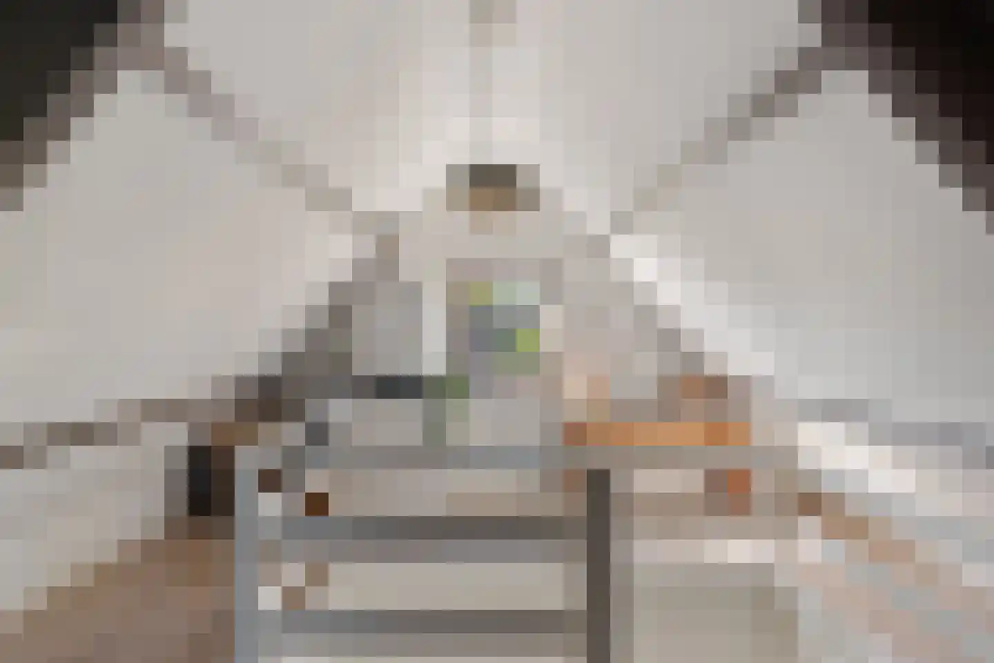 Molenweg 3 Heiloo thumbnail 48