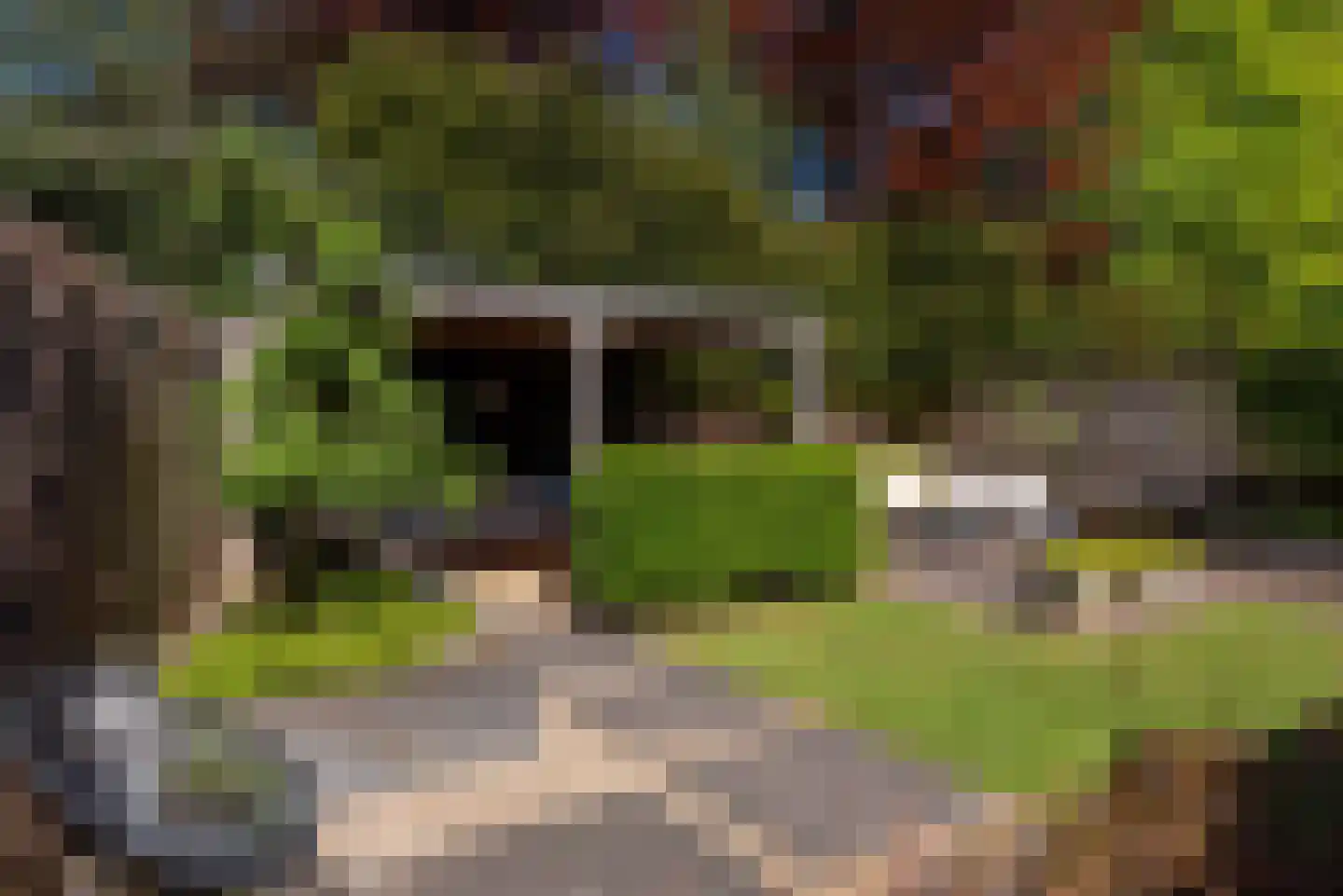 Molenweg 3 Heiloo thumbnail 51