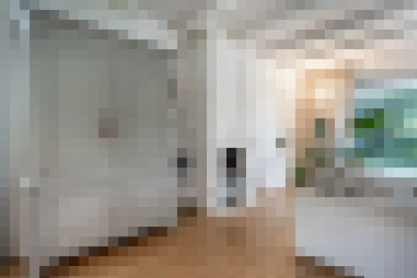 Molenweg 3 Mijnsheerenland thumbnail 13