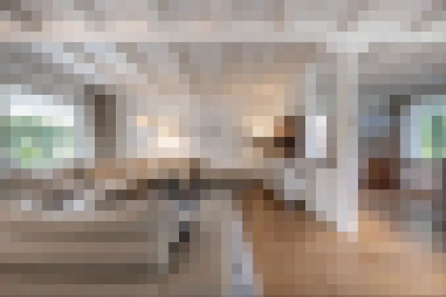 Molenweg 3 Mijnsheerenland thumbnail 14