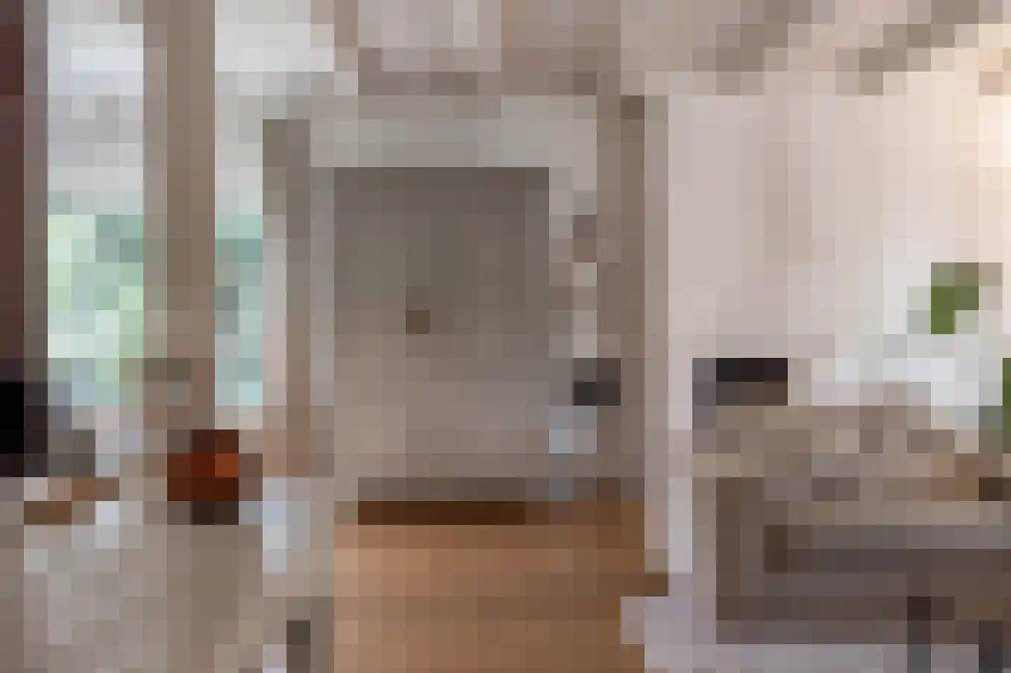 Molenweg 3 Mijnsheerenland thumbnail 16