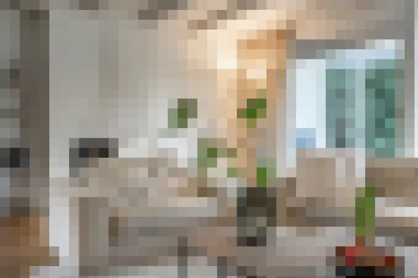 Molenweg 3 Mijnsheerenland thumbnail 17