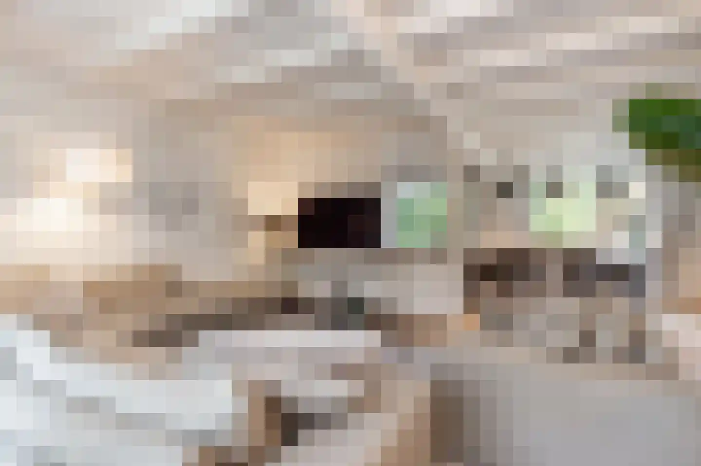 Molenweg 3 Mijnsheerenland thumbnail 18