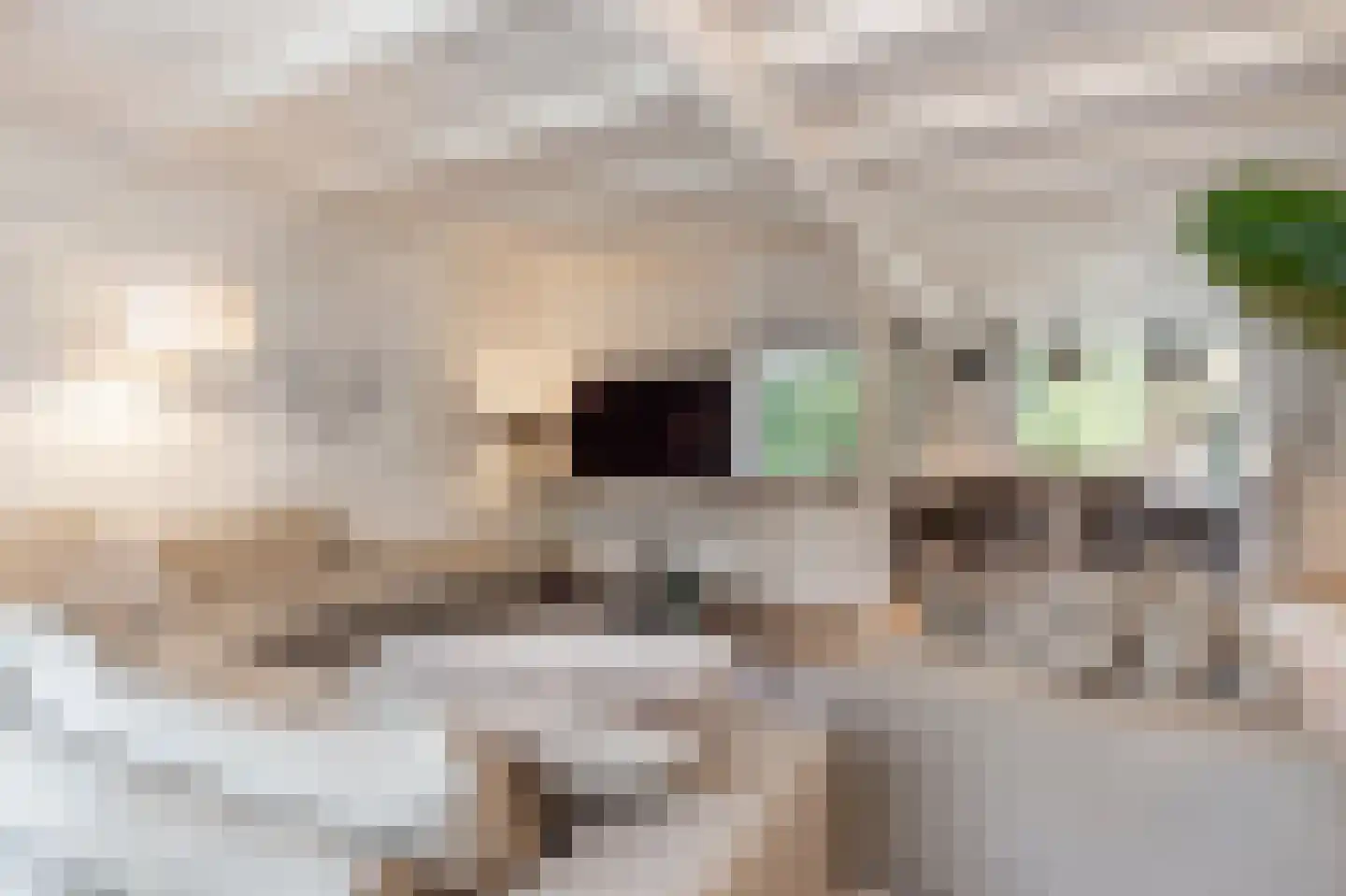 Molenweg 3 Mijnsheerenland thumbnail 18