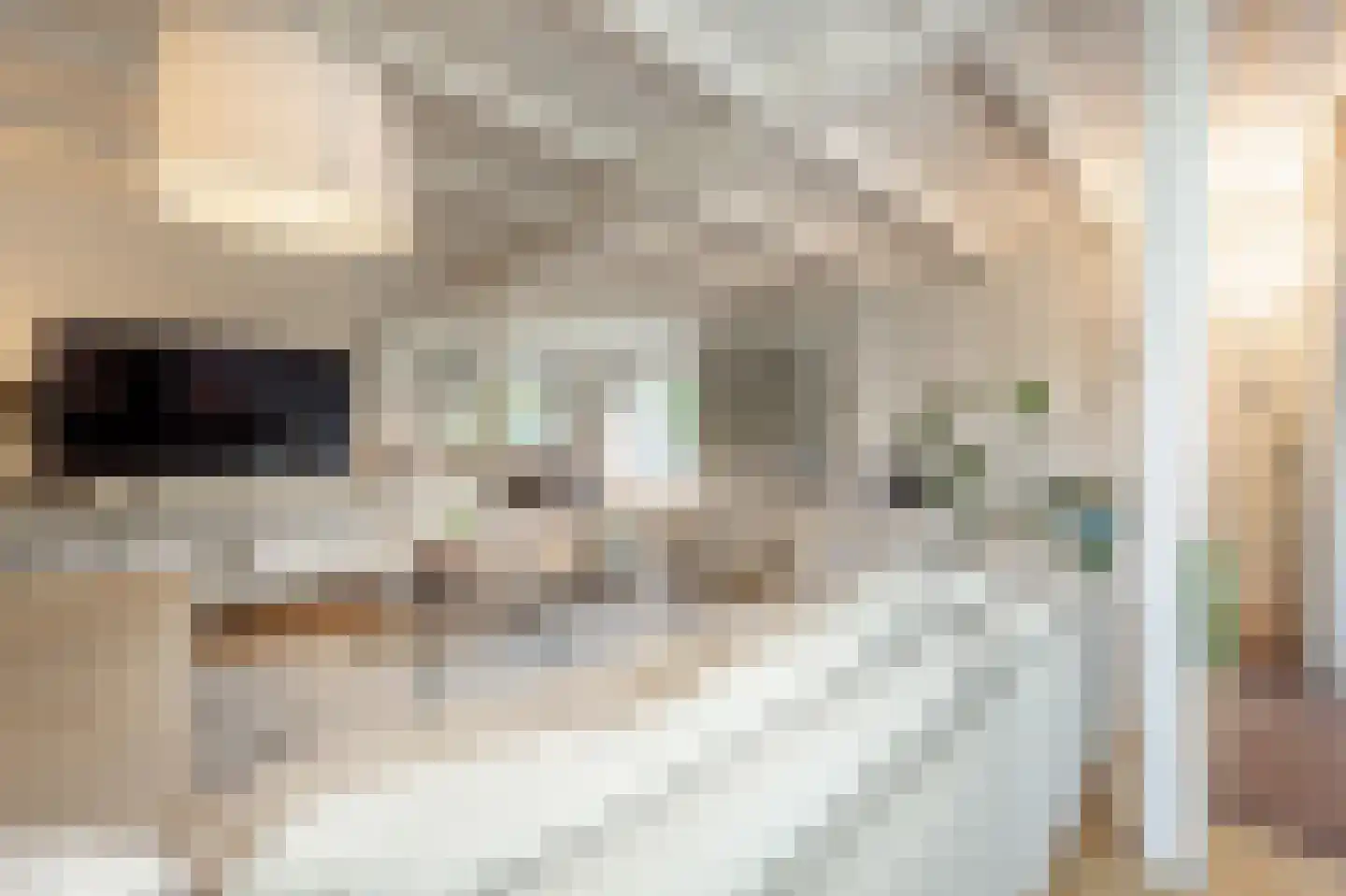 Molenweg 3 Mijnsheerenland thumbnail 19