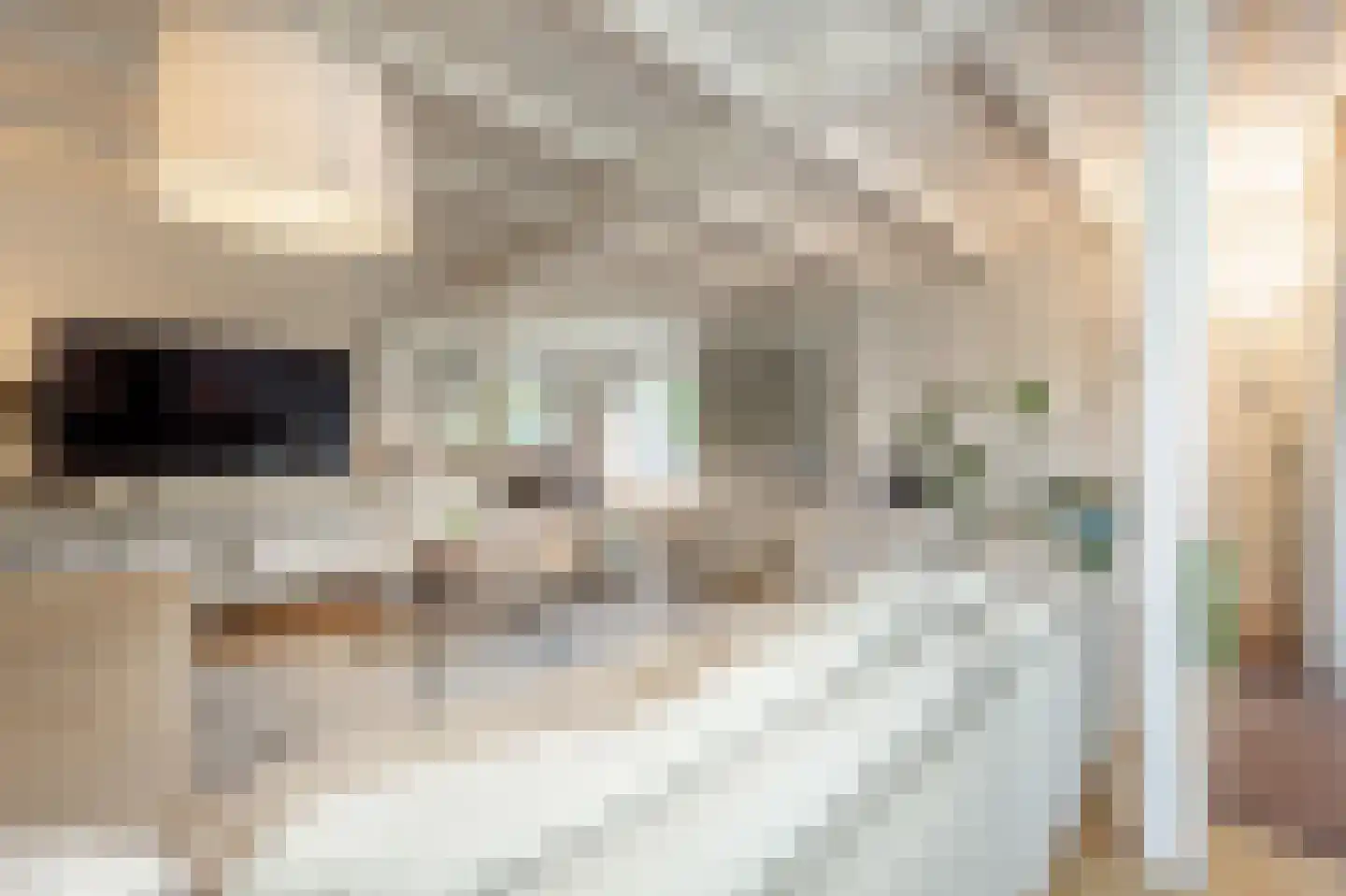 Molenweg 3 Mijnsheerenland thumbnail 19
