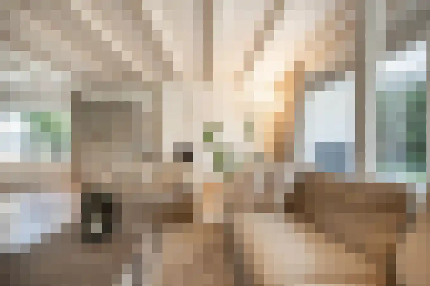 Molenweg 3 Mijnsheerenland thumbnail 20
