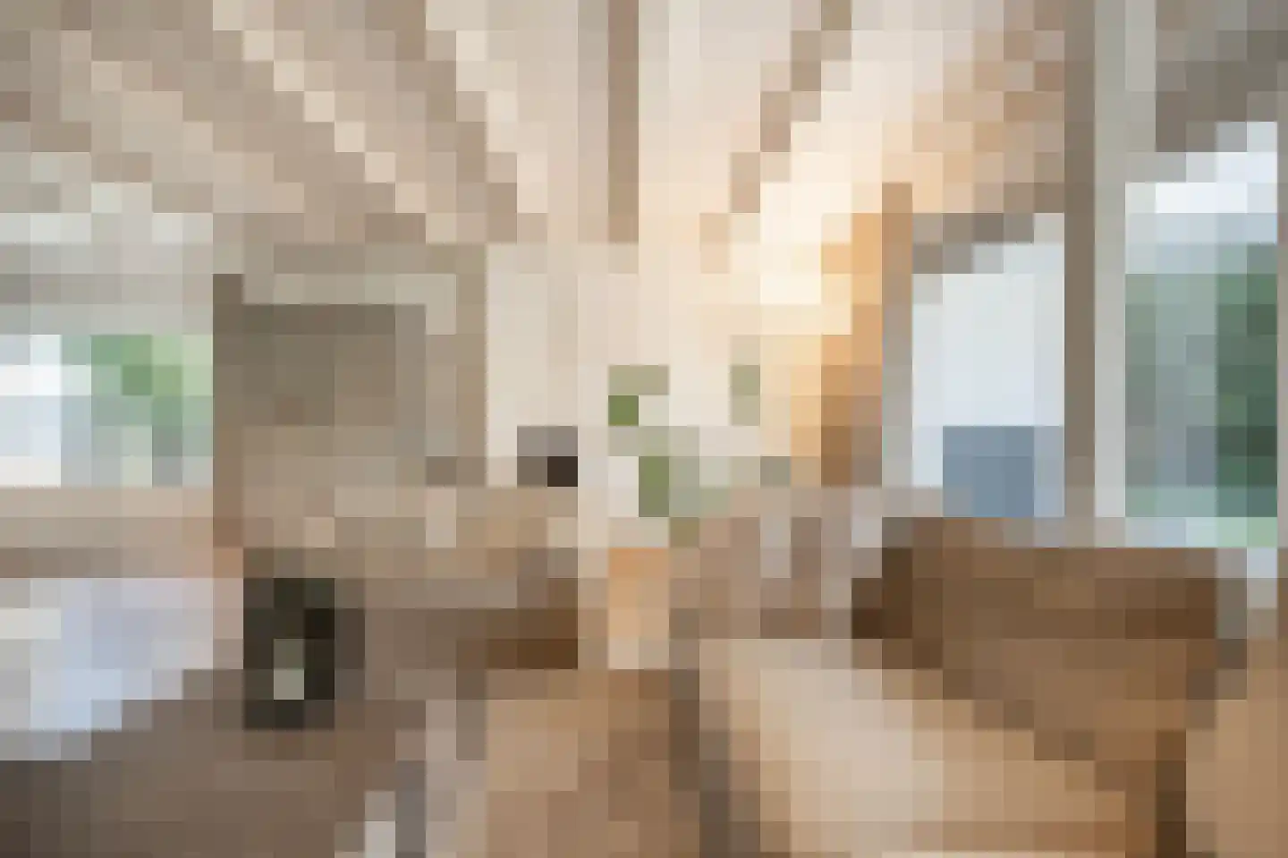 Molenweg 3 Mijnsheerenland thumbnail 20