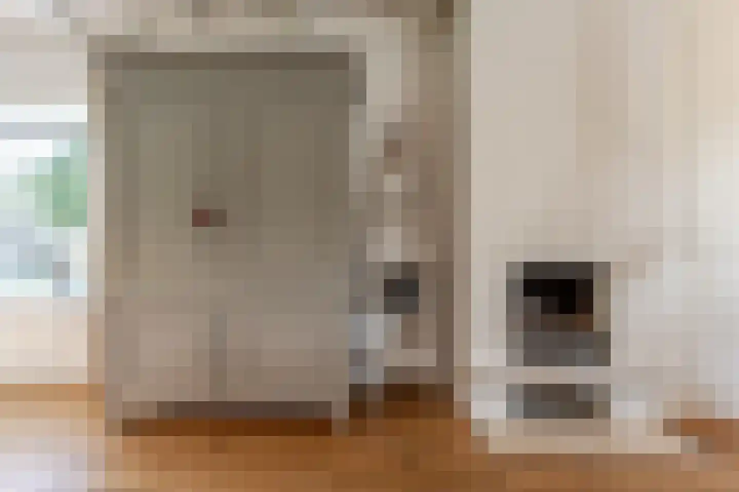 Molenweg 3 Mijnsheerenland thumbnail 21