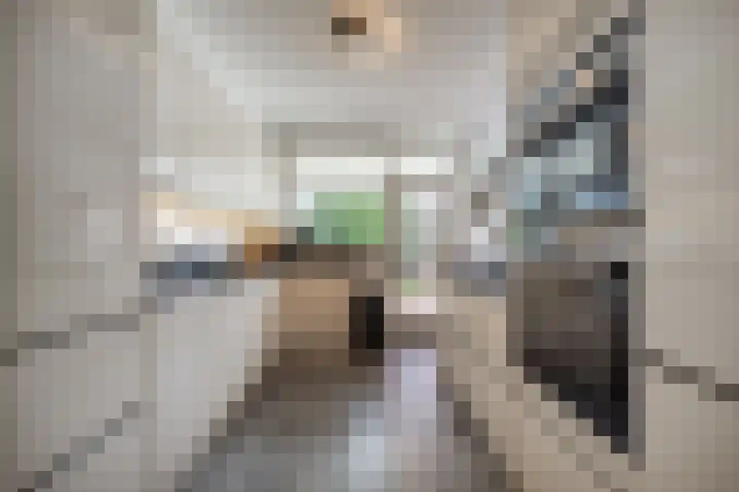 Molenweg 3 Mijnsheerenland thumbnail 22