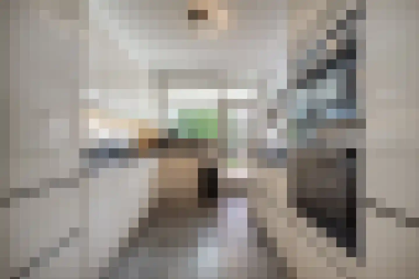 Molenweg 3 Mijnsheerenland thumbnail 22