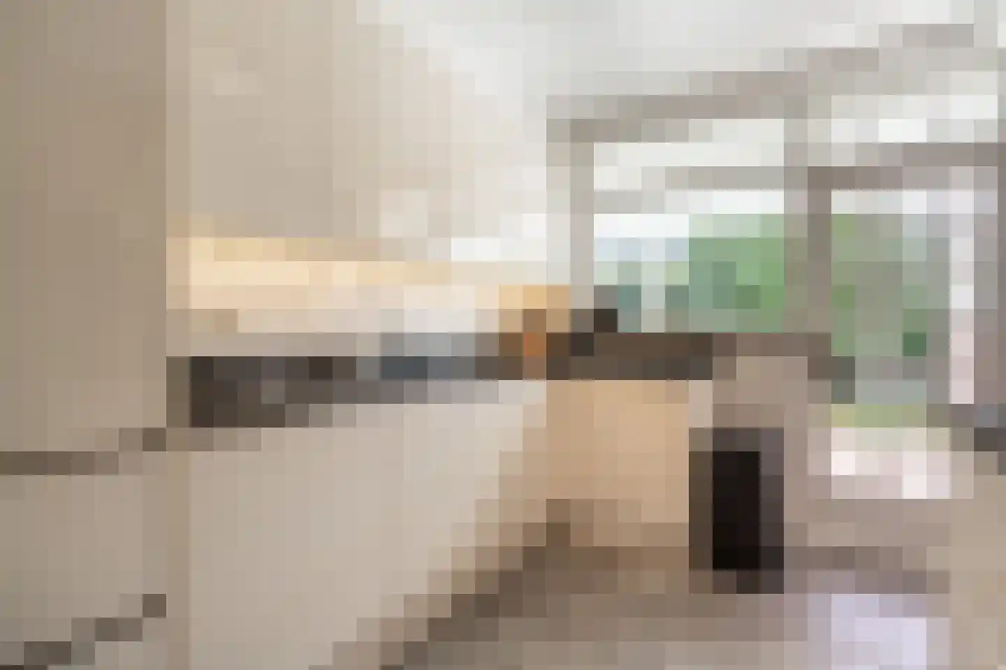 Molenweg 3 Mijnsheerenland thumbnail 23