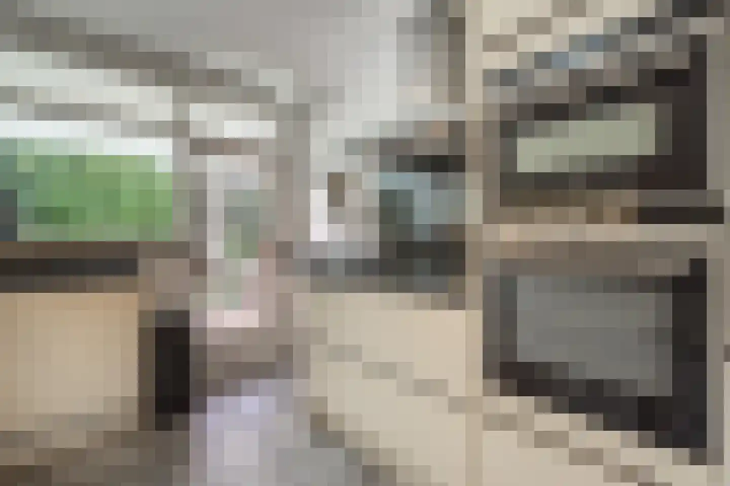 Molenweg 3 Mijnsheerenland thumbnail 24