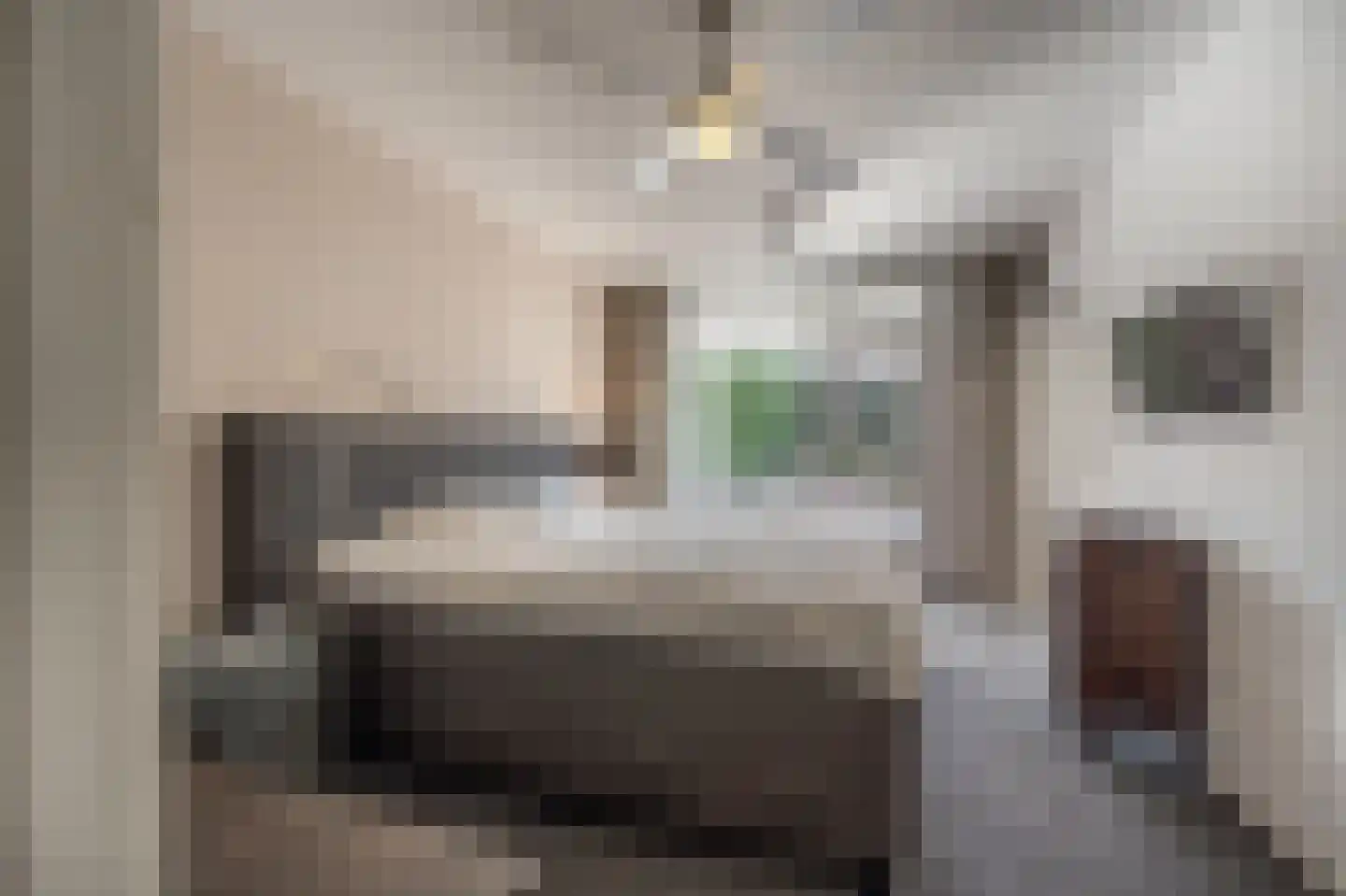 Molenweg 3 Mijnsheerenland thumbnail 25