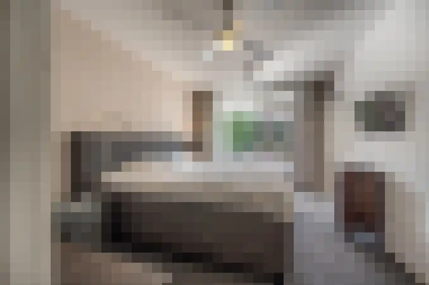 Molenweg 3 Mijnsheerenland thumbnail 25