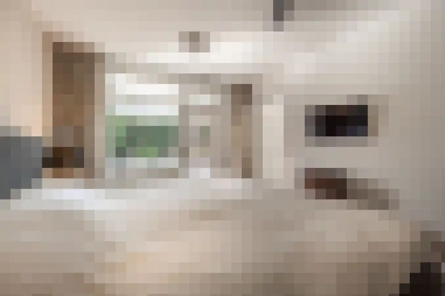 Molenweg 3 Mijnsheerenland thumbnail 26