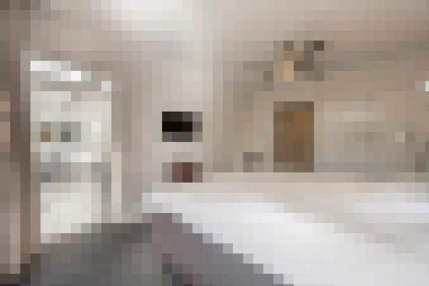 Molenweg 3 Mijnsheerenland thumbnail 27