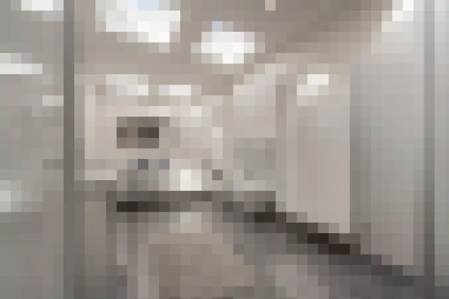 Molenweg 3 Mijnsheerenland thumbnail 28