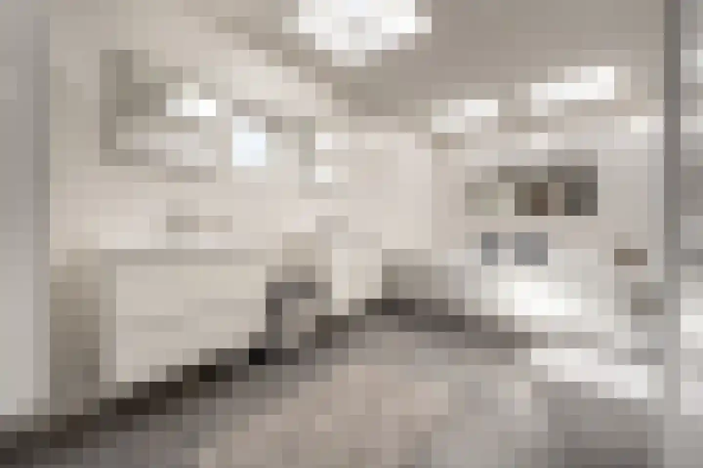 Molenweg 3 Mijnsheerenland thumbnail 29