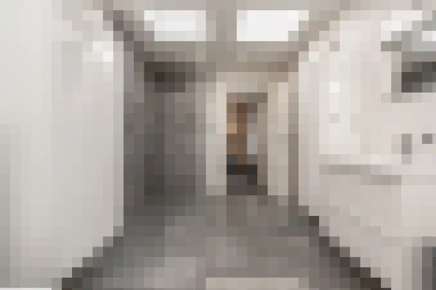 Molenweg 3 Mijnsheerenland thumbnail 30