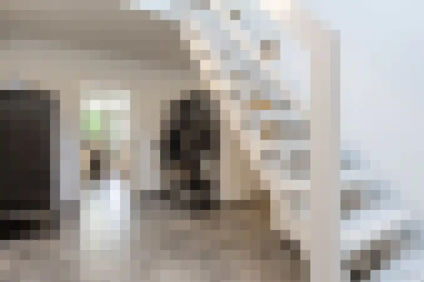 Molenweg 3 Mijnsheerenland thumbnail 32