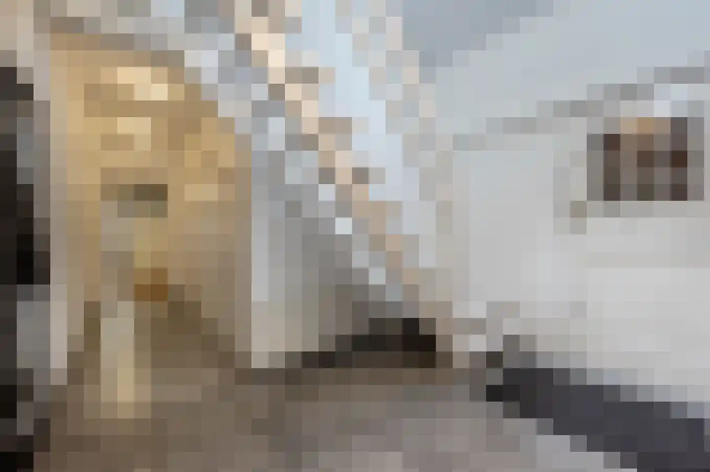 Molenweg 3 Mijnsheerenland thumbnail 33