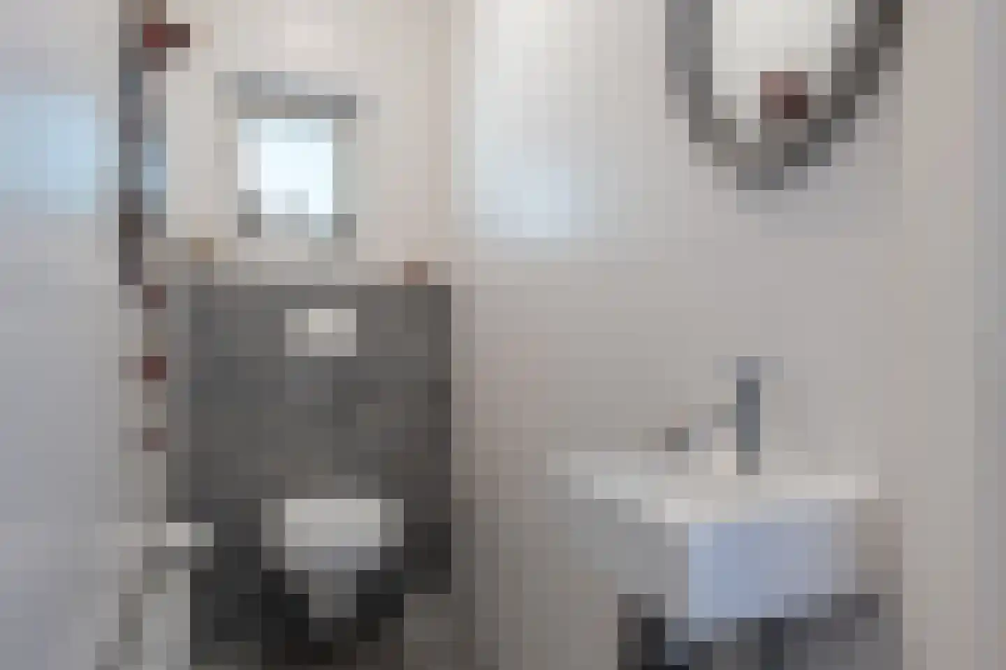 Molenweg 3 Mijnsheerenland thumbnail 35