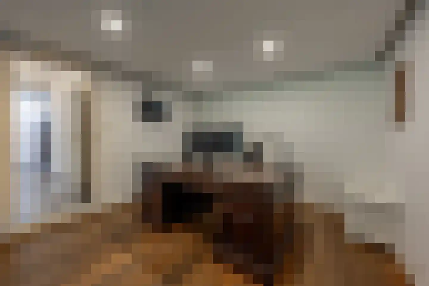 Molenweg 3 Mijnsheerenland thumbnail 36