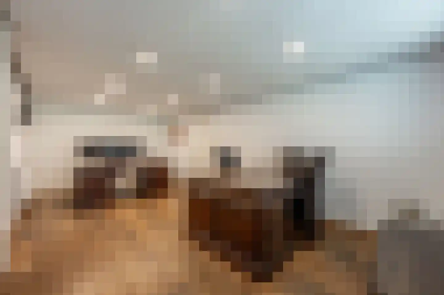 Molenweg 3 Mijnsheerenland thumbnail 38