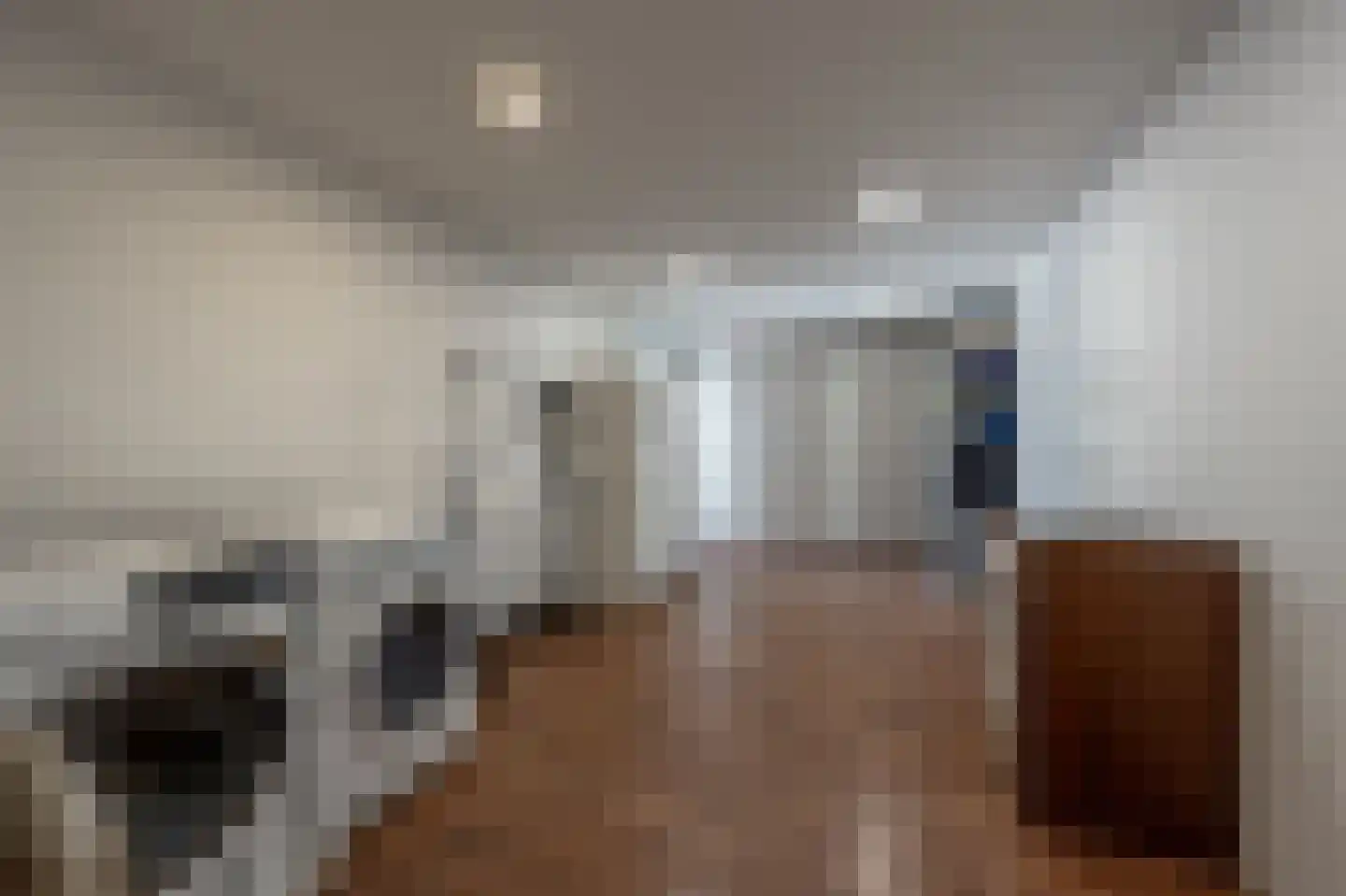 Molenweg 3 Mijnsheerenland thumbnail 39