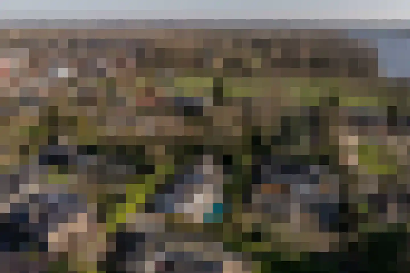 Molenweg 3 Mijnsheerenland thumbnail 4