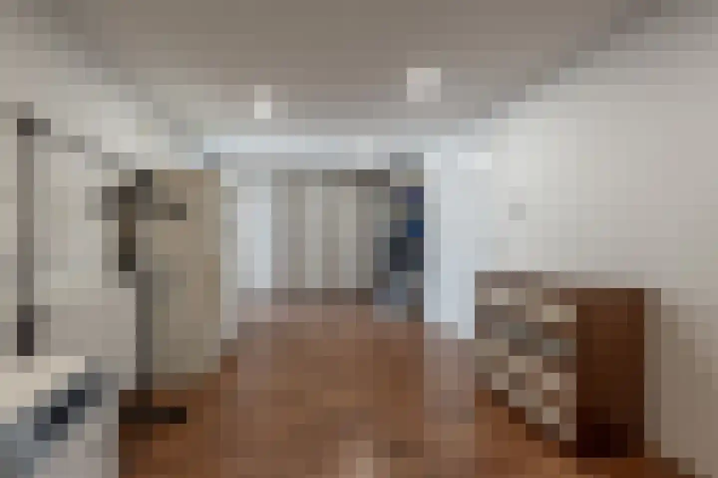 Molenweg 3 Mijnsheerenland thumbnail 40