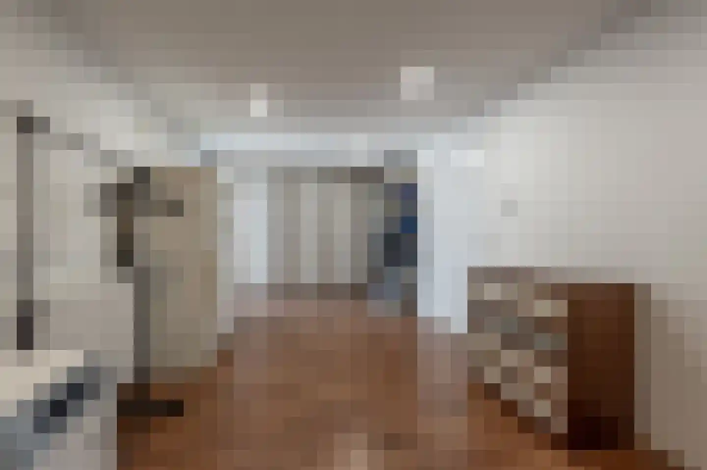Molenweg 3 Mijnsheerenland thumbnail 40
