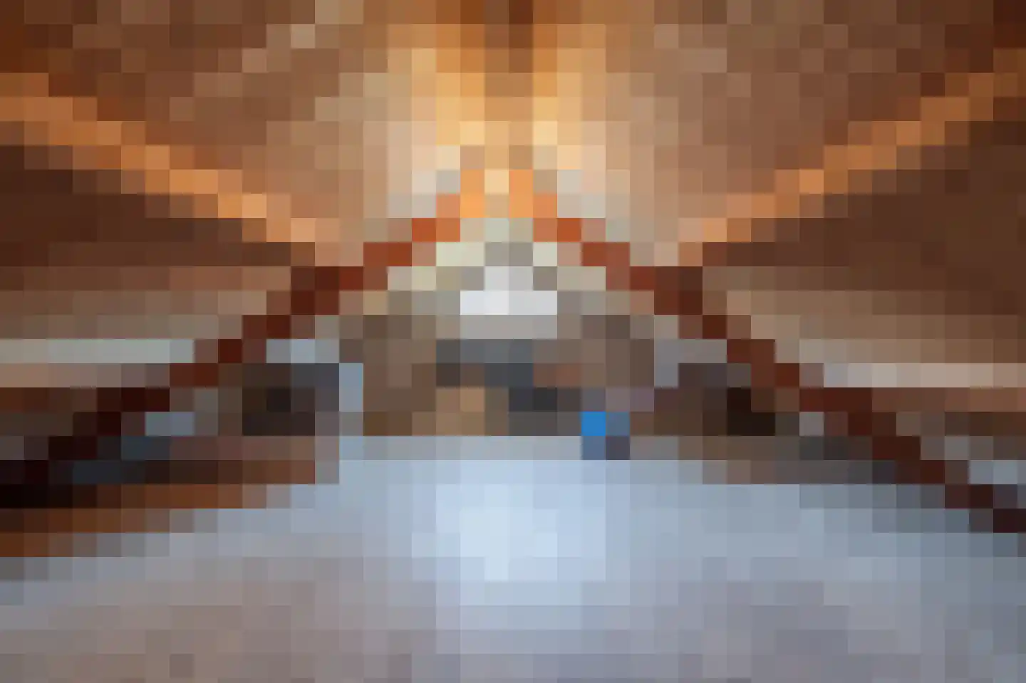 Molenweg 3 Mijnsheerenland thumbnail 41