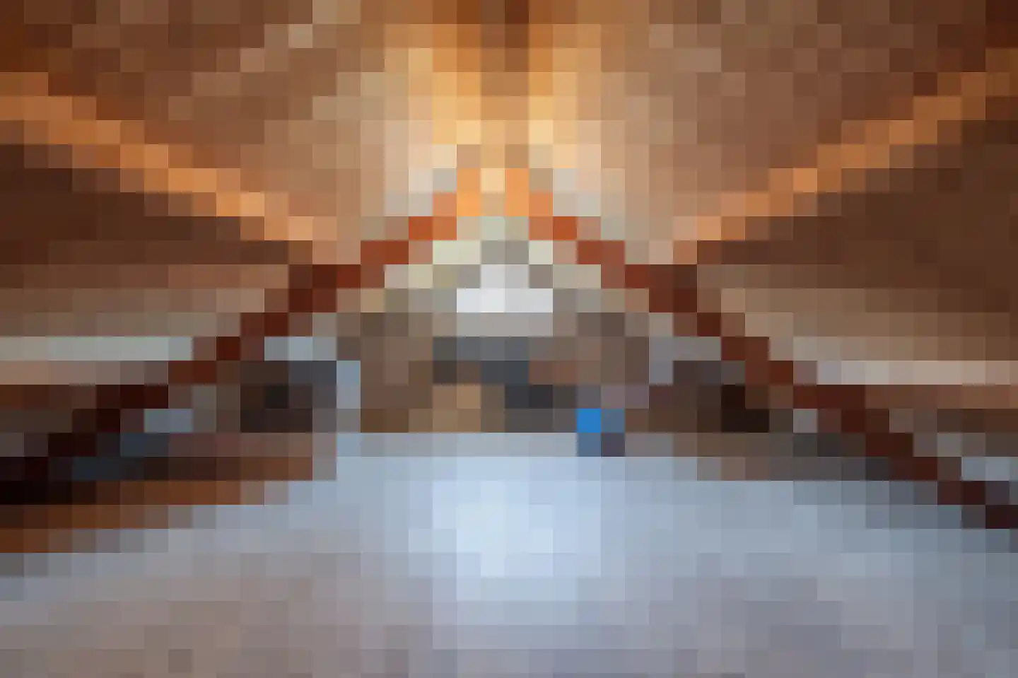 Molenweg 3 Mijnsheerenland thumbnail 41