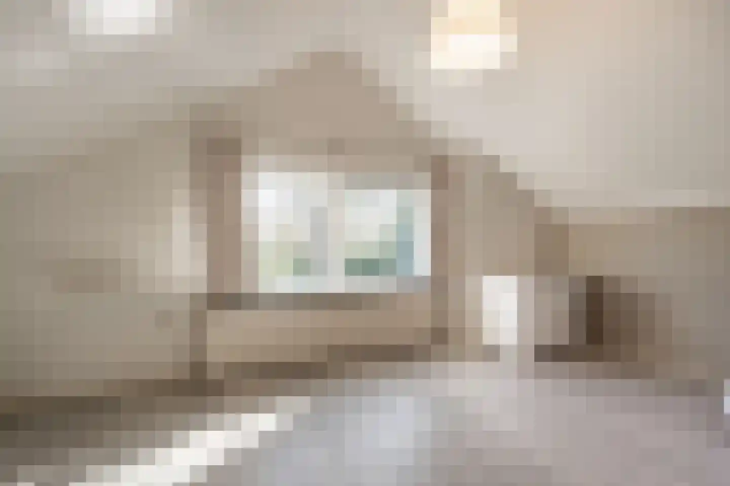 Molenweg 3 Mijnsheerenland thumbnail 46
