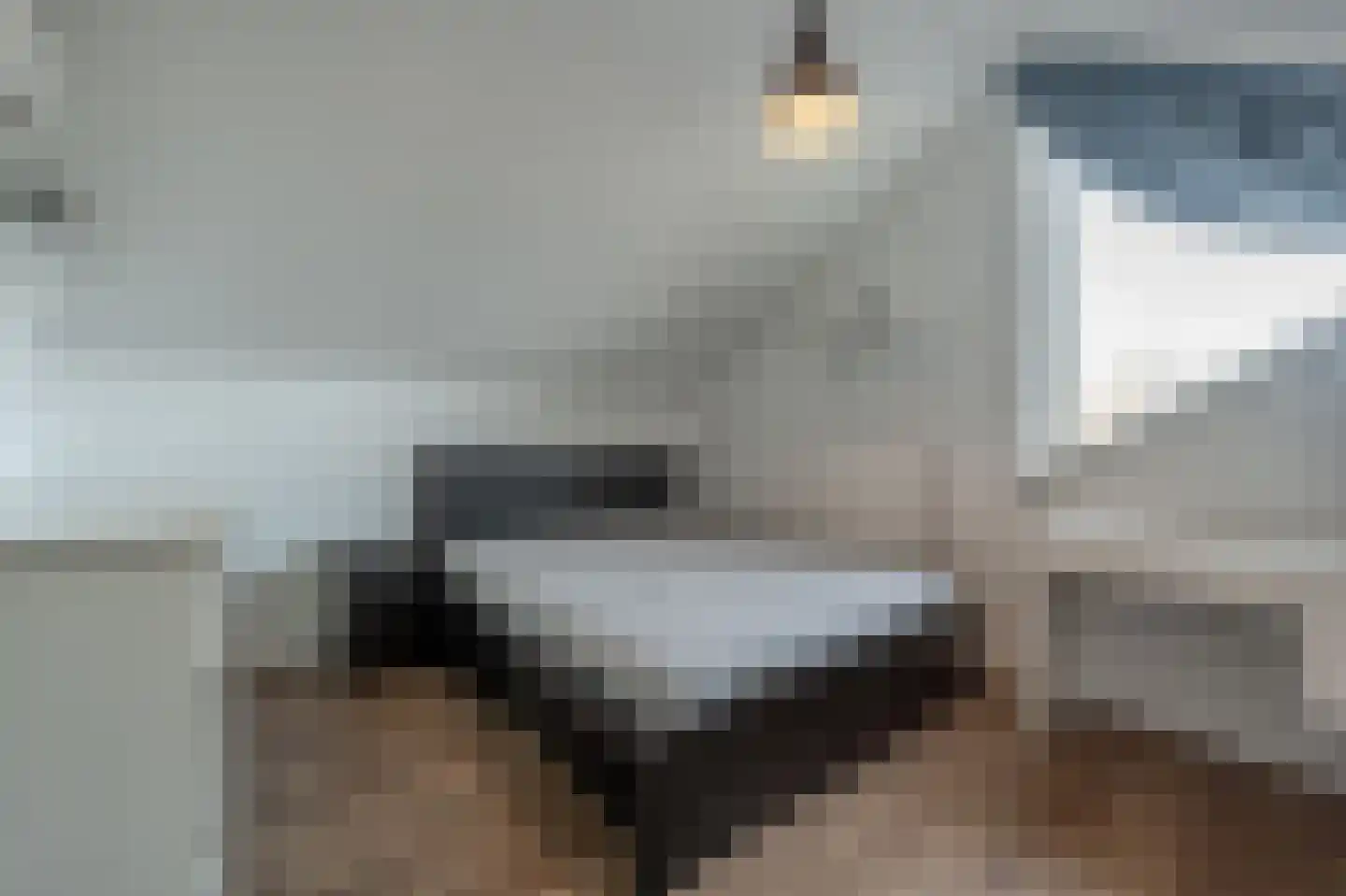 Molenweg 3 Mijnsheerenland thumbnail 49