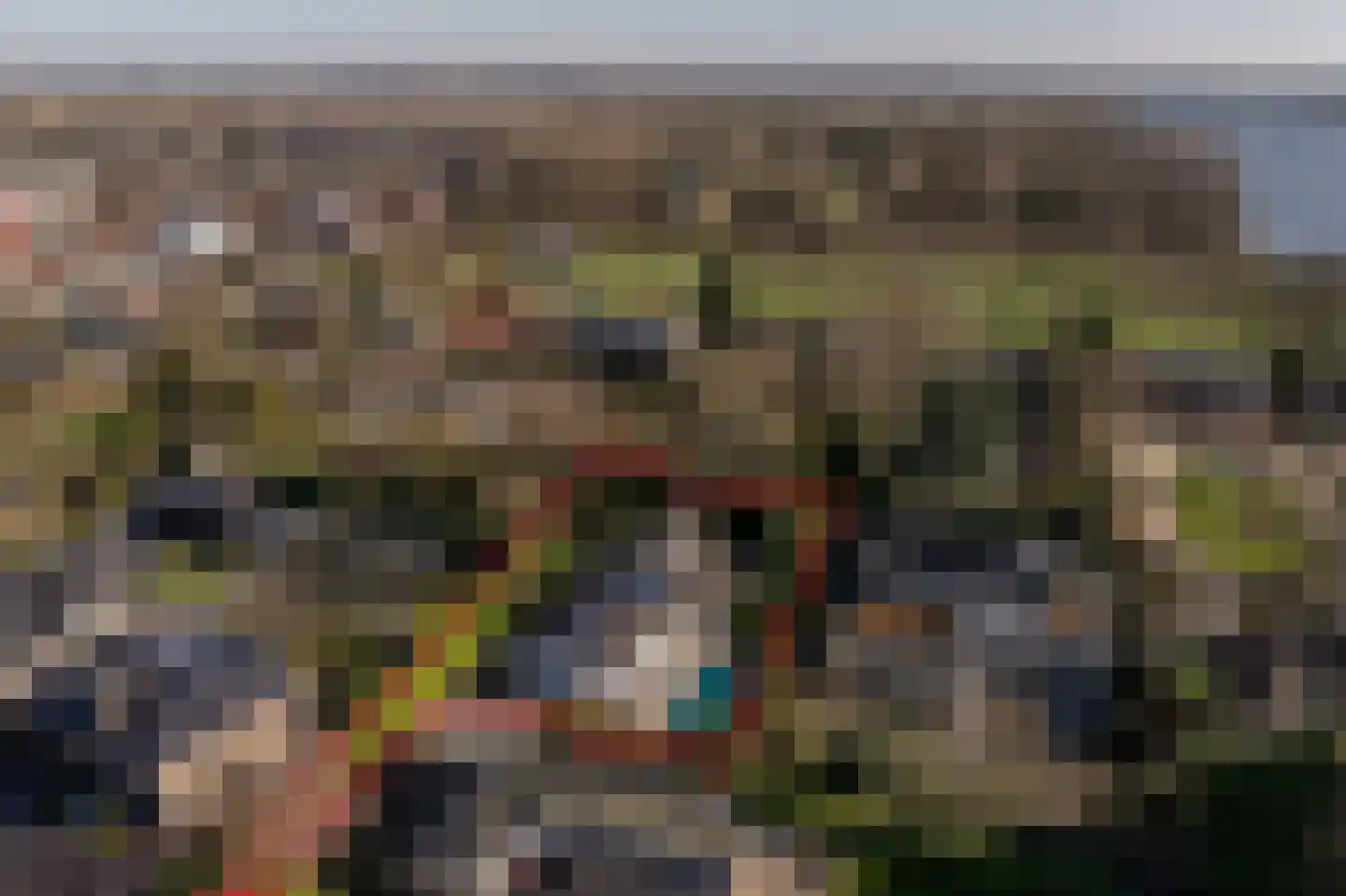 Molenweg 3 Mijnsheerenland thumbnail 5