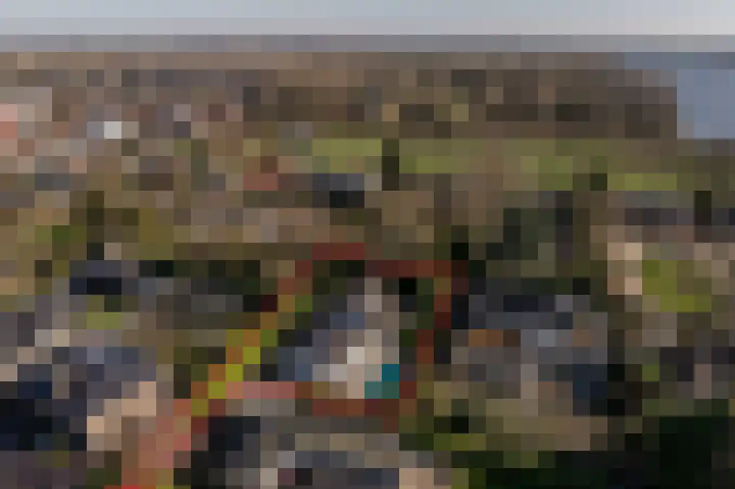 Molenweg 3 Mijnsheerenland thumbnail 5