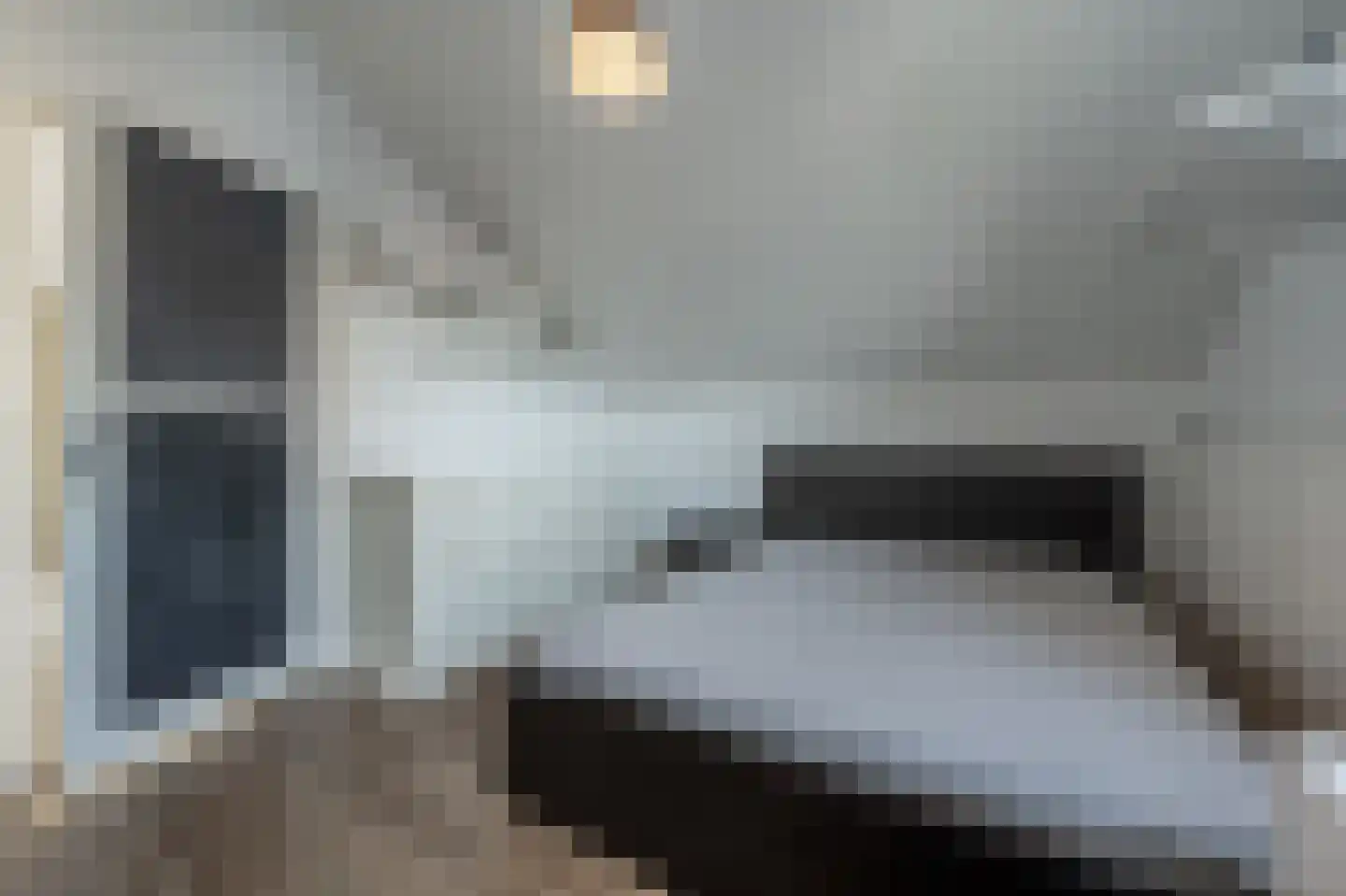 Molenweg 3 Mijnsheerenland thumbnail 50