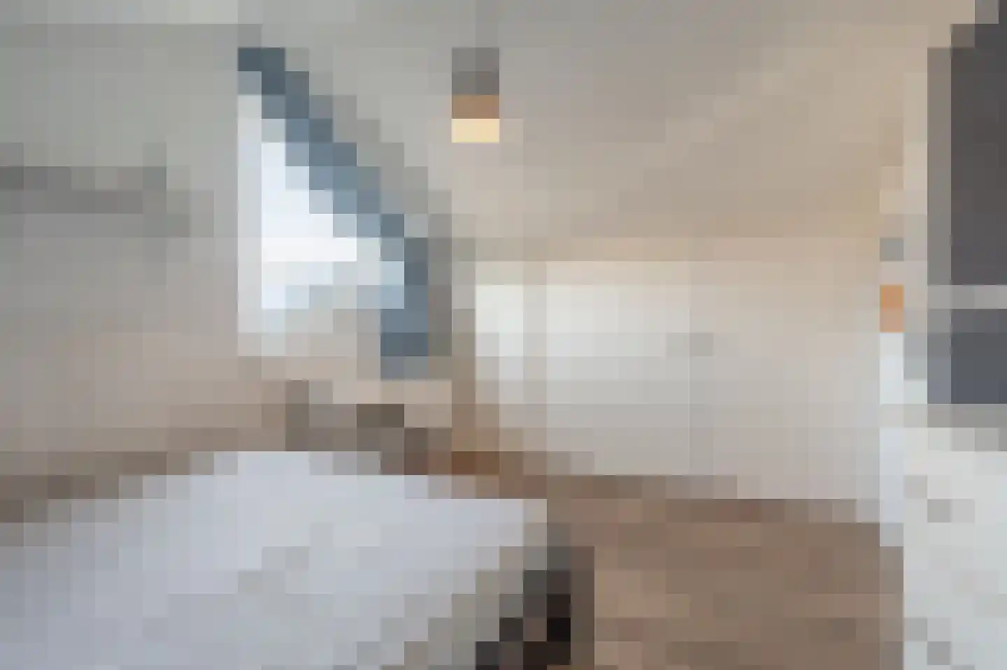 Molenweg 3 Mijnsheerenland thumbnail 51