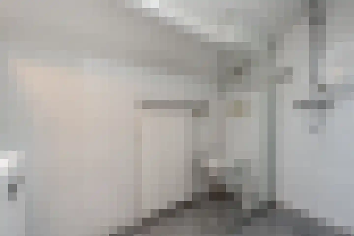 Molenweg 3 Mijnsheerenland thumbnail 52