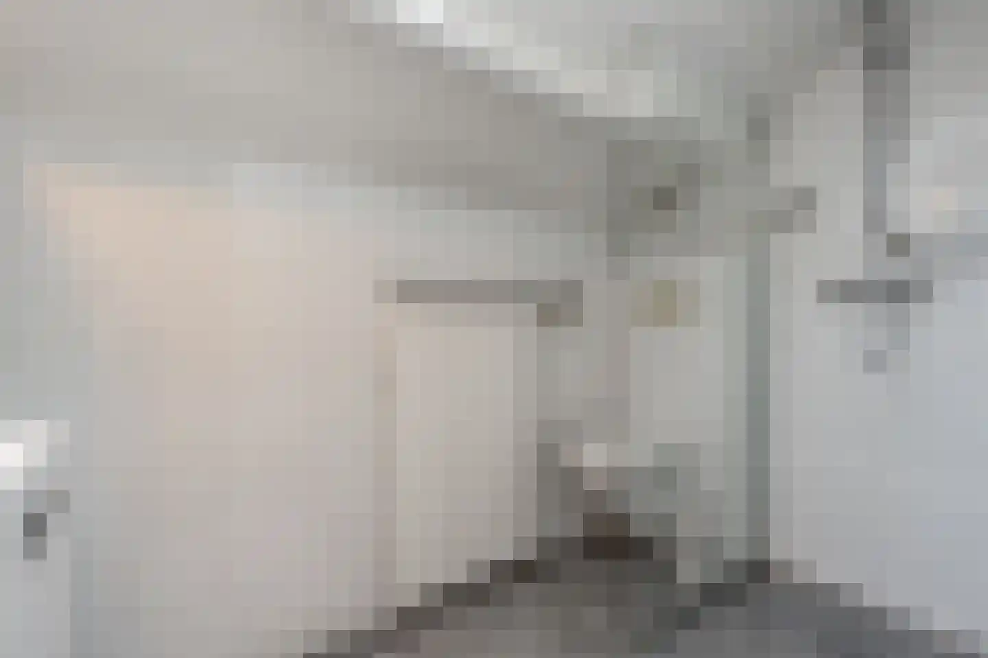 Molenweg 3 Mijnsheerenland thumbnail 52