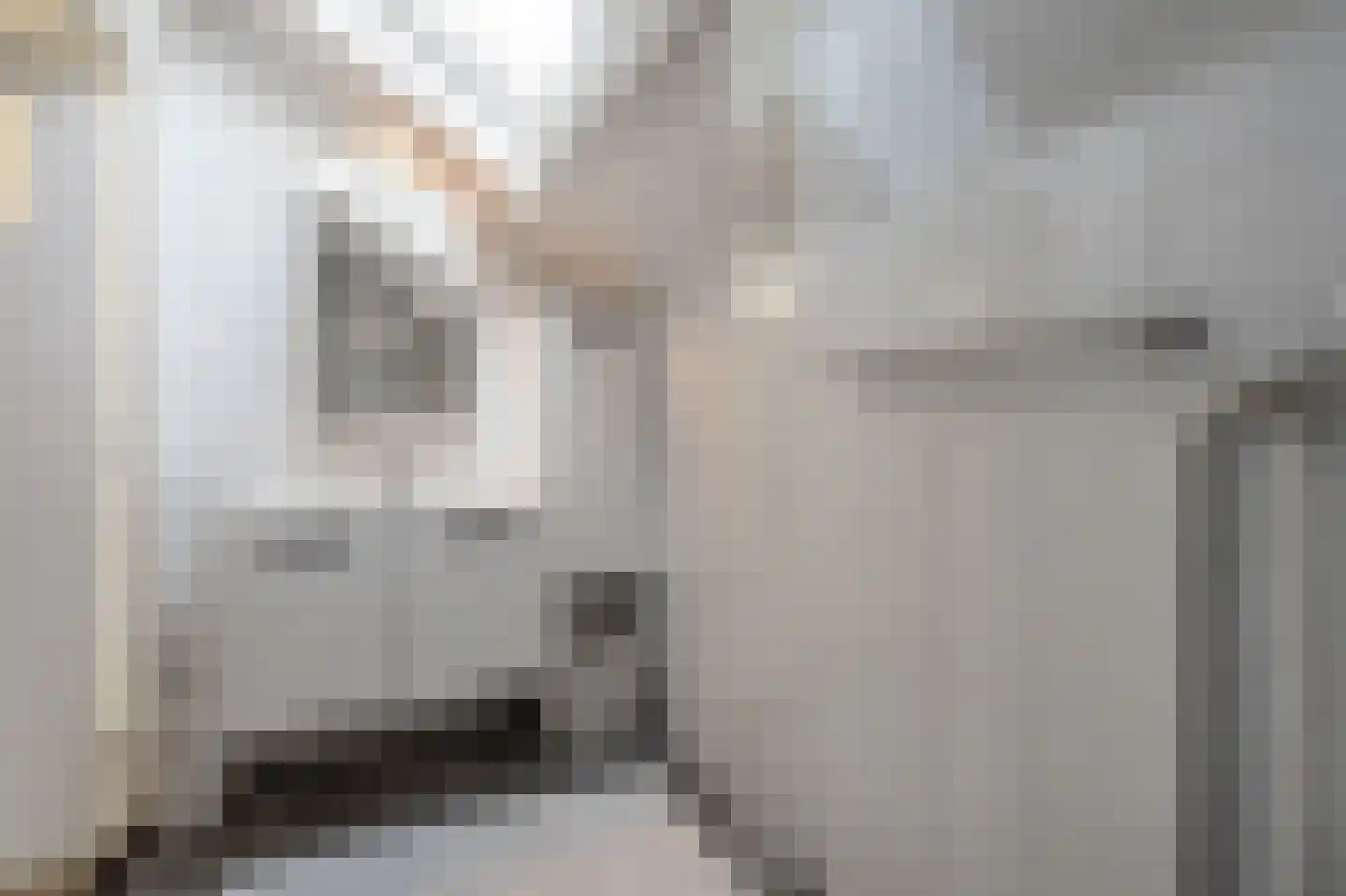 Molenweg 3 Mijnsheerenland thumbnail 53