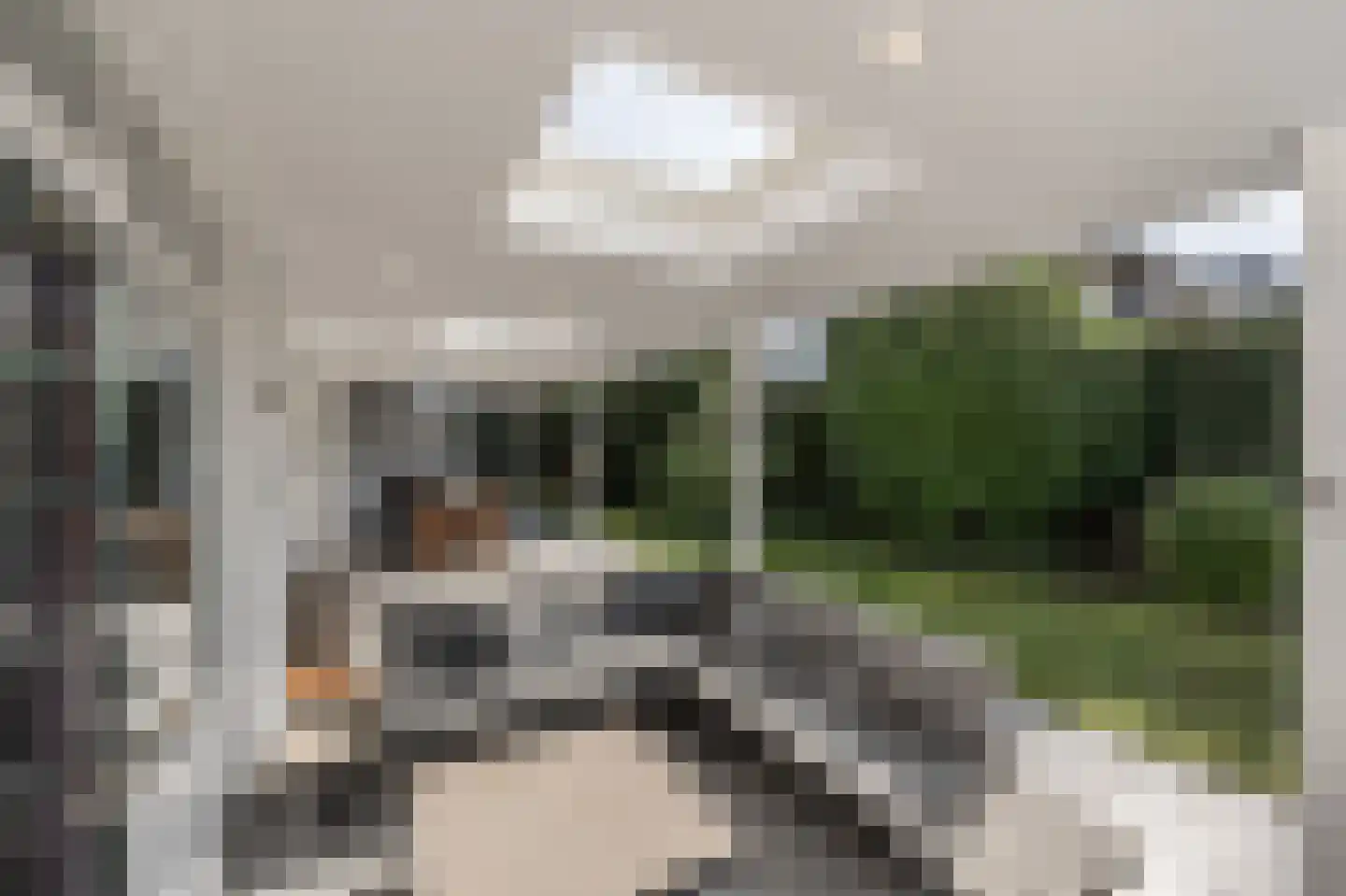 Molenweg 3 Mijnsheerenland thumbnail 55
