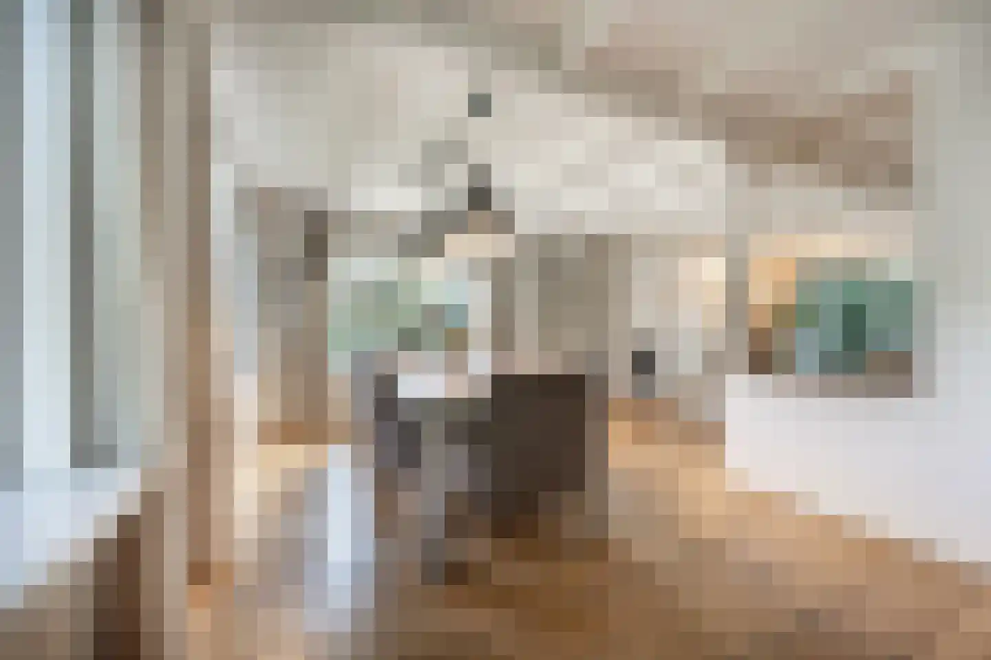 Molenweg 3 Mijnsheerenland thumbnail 6